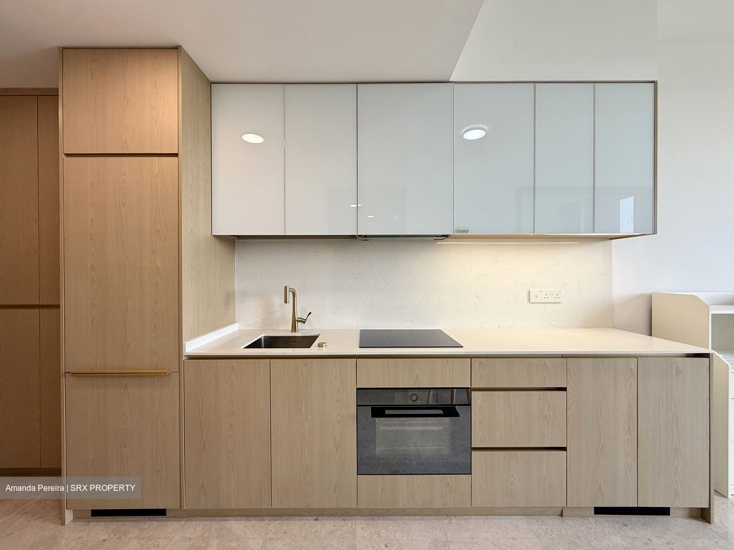 Meyer Mansion (D15), Apartment #574676631